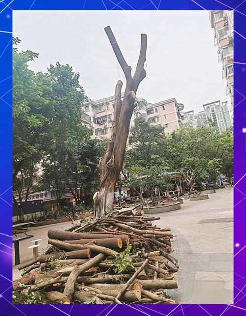 调查广州家好公司的目的_广州家家好家政服务有限公司_广州调查公司那家好